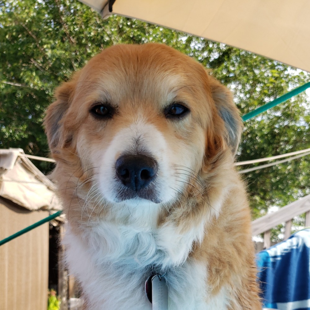 Meet your Posher, Christopher